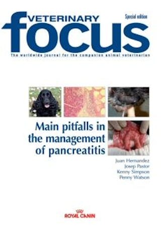 Management der Pankreatitis bei Hund und Katze: die häufigsten Fehlerquellen